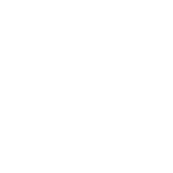 PROF ARIOVALDO - Experiencia - FDC