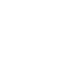 PROF ARIOVALDO - Experiencia - UNIFENAS